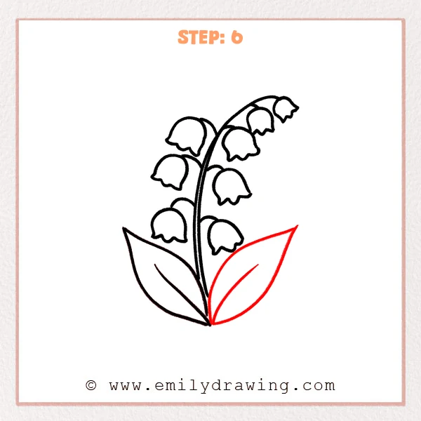 how to draw a lily of the valley - Step 6